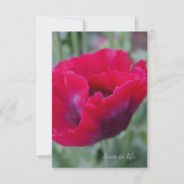 Pink Poppy Mitteilungskarte (Vorderseite)