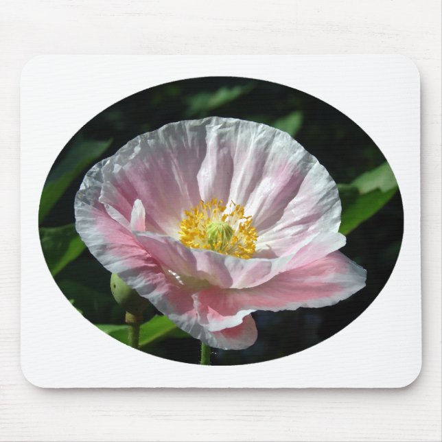 Pink Poppy Mousepad (Vorne)