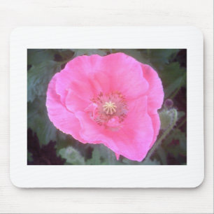 Pink Poppy Mousepad