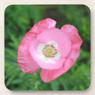 Pink Poppy Untersetzer