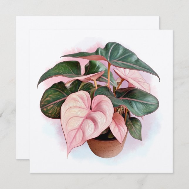 Pink Princess Philodendron Illustration (Vorne/Hinten)