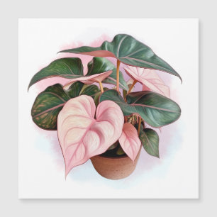 Pink Princess Philodendron Illustration Magnetkarte