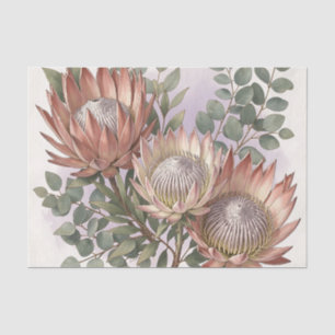 Pink Protea Eukalyptus Botanische Anordnung  Seidenpapier