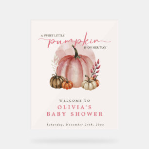 Pink Pumpkin auf ihrem Weg Girl Baby Dusche Willko Acrylschild