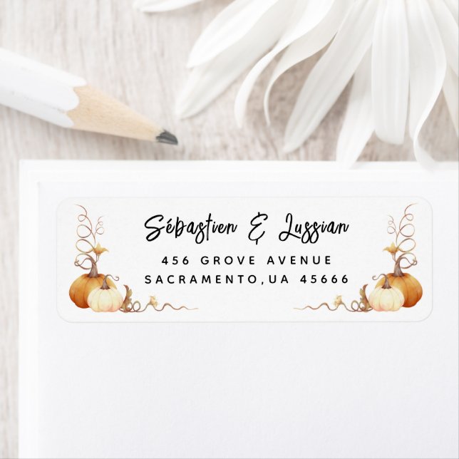 Pink Pumpkin Baby Dusche Rücksendeadresse Etikett (Insitu)