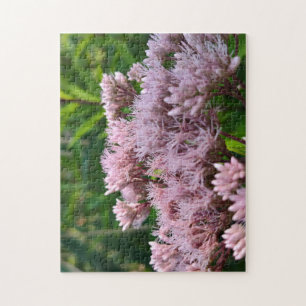 Pink Pye Unkraut-Linse Puzzle