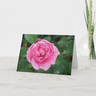 Pink Raindrops Karte