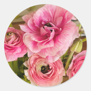 Pink Ranunculus Grußkarte Runder Aufkleber