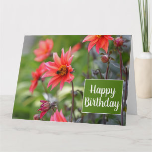 Pink & Red Dahlia Blume Wisley Happy Birthday Karte