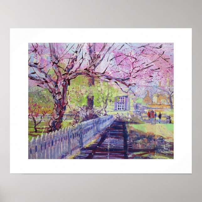 Pink Redbud Blossoms At Williamsburg Virginia Poster (Vorne)