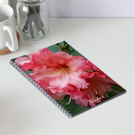 Pink Rhododendron Bloom Floral Notizblock