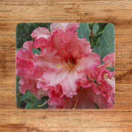 Pink Rhododendron Bloom Floral Schneidebrett