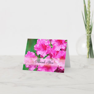 Pink Rhododendron Blume Danke