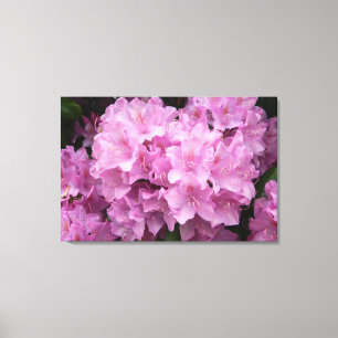 Pink Rhododendronen Wrapped Canvas Print Leinwanddruck