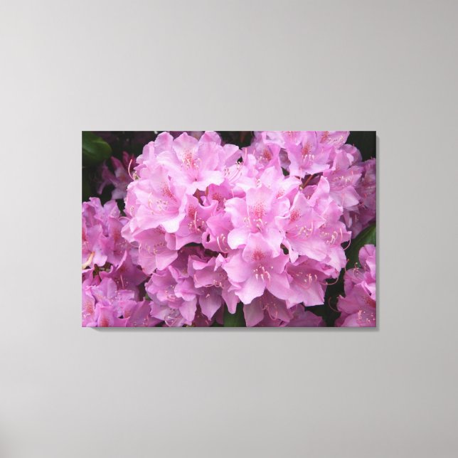 Pink Rhododendronen Wrapped Canvas Print Leinwanddruck (Vorderseite)
