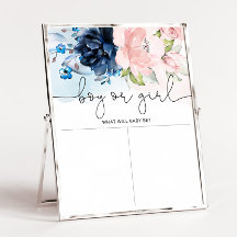 Pink-Rosa-Geschlecht der Blumenmarinade offenbart 