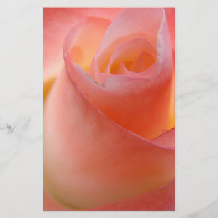 Pink Rose Blume Stationery Floral Personalisieren Briefpapier