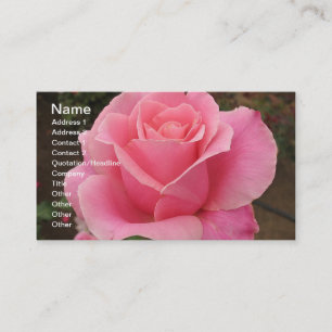 Pink Rose Business Card Visitenkarte