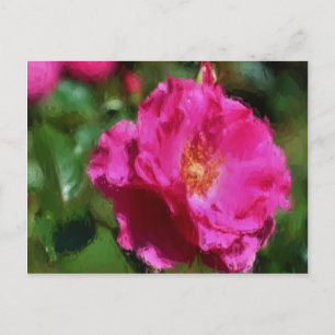 Pink Rose Chalk Zeichnend florale Postkarte