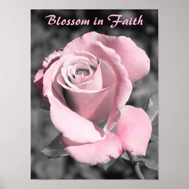 Pink Rose Faith Poster (Vorne)