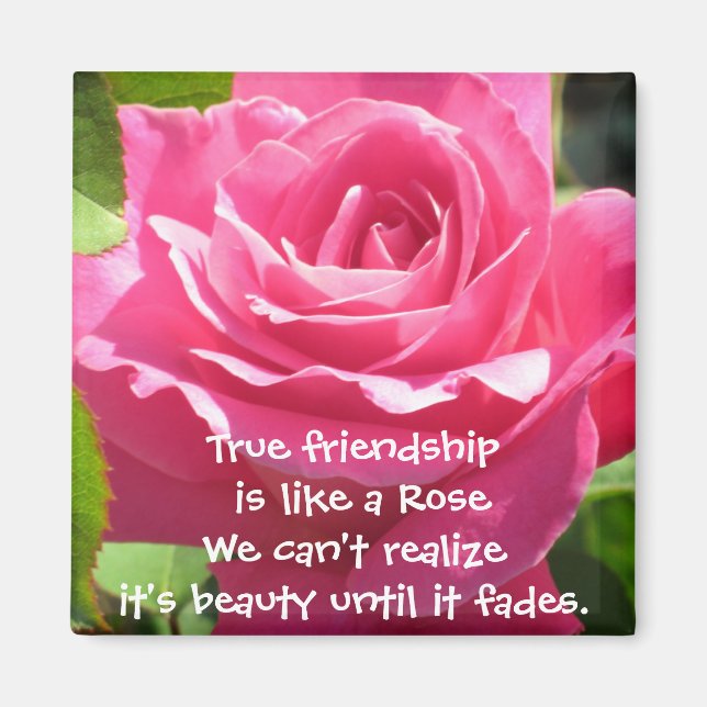 Pink Rose Friendship Magnet (Vorne)