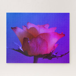 Pink Rose Jigsaw Puzzle