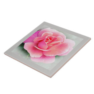 PINK ROSE-Keramik Fliese
