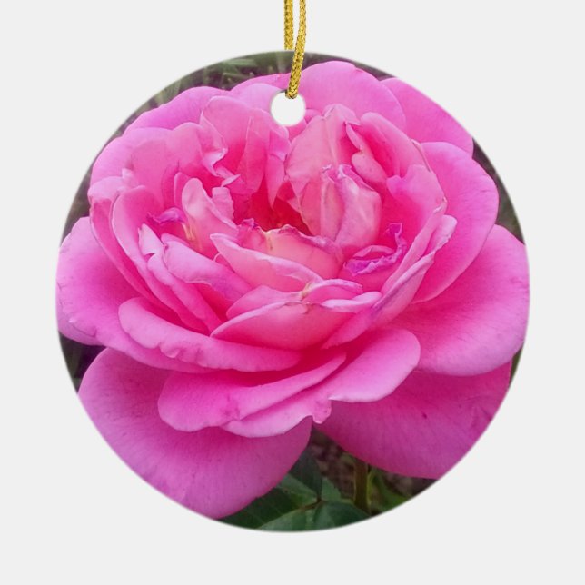 Pink Rose "Leonardo Da Vinci" Keramik Ornament (Vorne)
