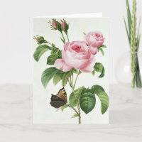 Pink Rose Pierre-Joseph Redoute Grußkarte