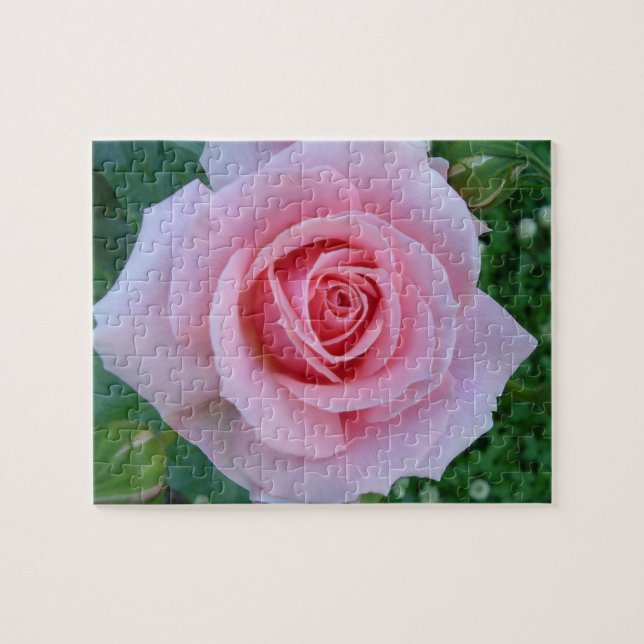 Pink Rose Puzzle (Horizontal)