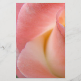 Pink Rose Stationery Personalisieren Sie Geschenke Briefpapier
