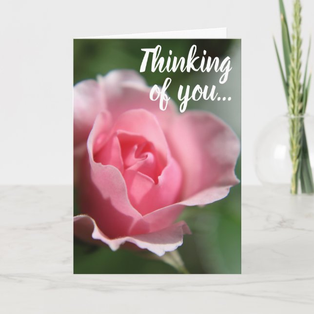 Pink Rose Thinking of You Card Karte (Vorderseite)