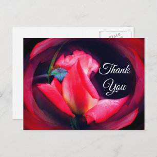 Pink Rosenknospe Abstrakt Floral Danke Postcard Postkarte