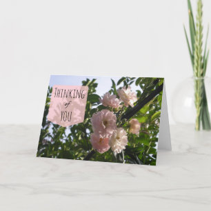 Pink Roses Denken Sie an Sie Karte