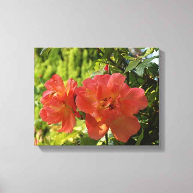 Pink Roses Fotografie Canvas Print Leinwanddruck (Vorderseite)