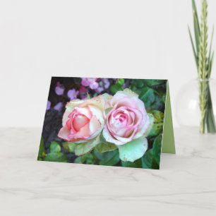 Pink Roses Grußkarte Karte