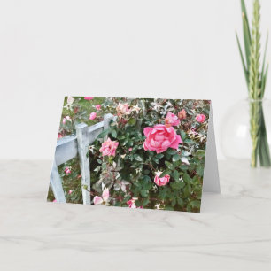 Pink Roses - individuell anpassbare Grußkarte Karte