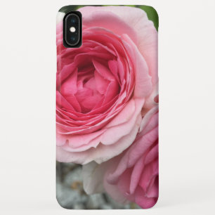 Pink Roses iPhone Case