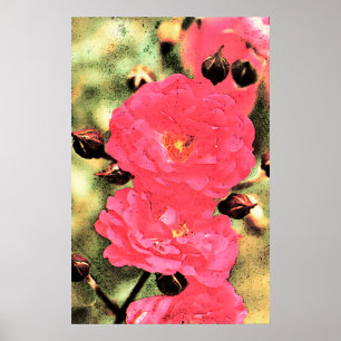 Pink Roses Poster - Digitales Foto Kunst, Dichtung
