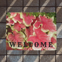 Pink Ruffled Caladium Blätter Floral Willkommen