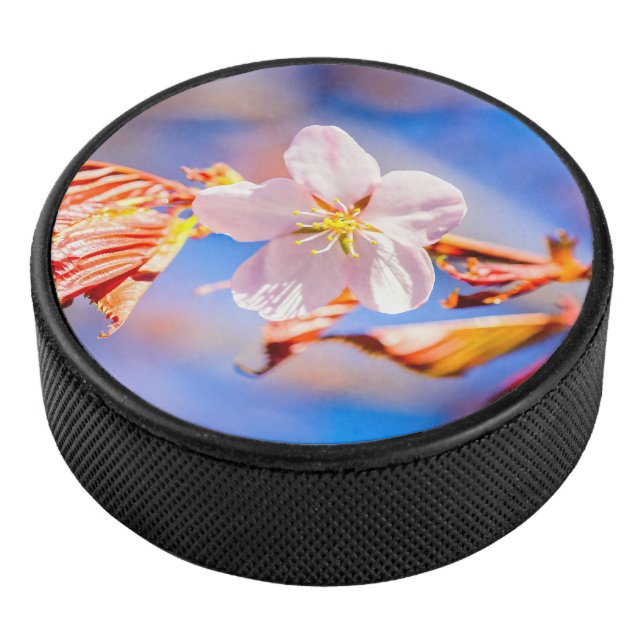 Pink Sakura Blume Blue Sky Eishockey Puck (3/4)