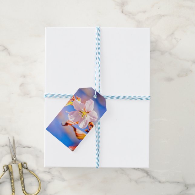 Pink Sakura Blume Blue Sky Geschenkanhänger (Mit Garn)