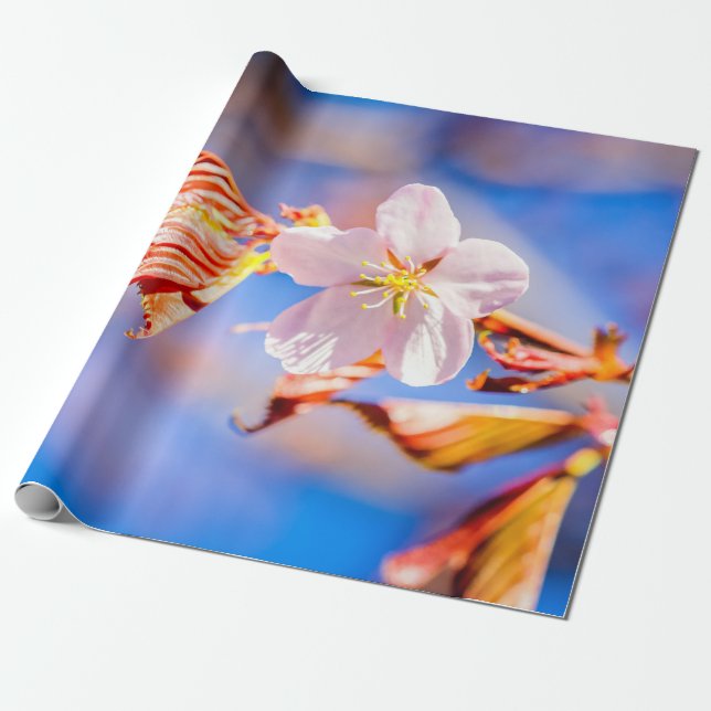 Pink Sakura Blume Blue Sky Geschenkpapier (Ungerollt)