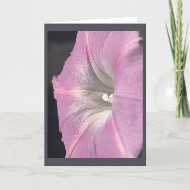 Pink-Satin Morning Glory Blank Karte (Vorderseite)