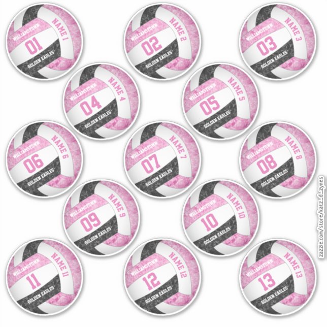 Pink-schwarz-Volleyball-Spieler nennt Set von 13 Aufkleber (Vorderseite)