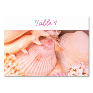 Pink Seashells Tischnummer