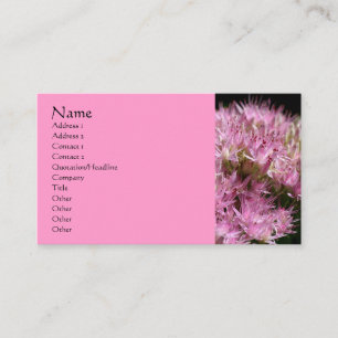 Pink Sedum Flower Fotografy Business Card Visitenkarte
