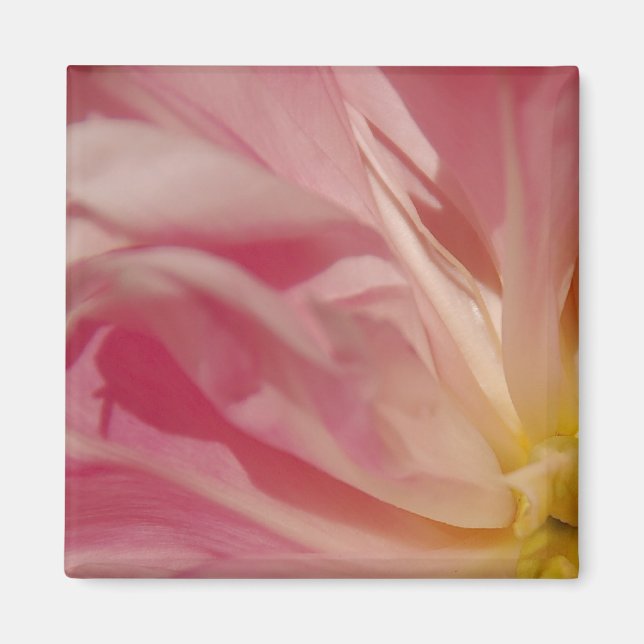 Pink Shade Magnet (Vorne)