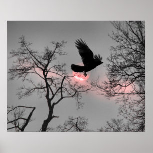 Pink Sky Stripe Poster