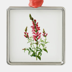 Pink Snapdragon Gezeichnet aus der Natur Silbernes Ornament